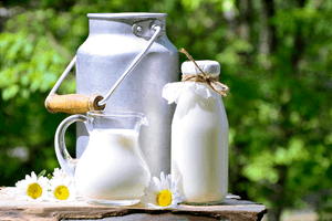 Badanie mikrobiologiczne mleka i przetworów mlecznych - na czym polega?
